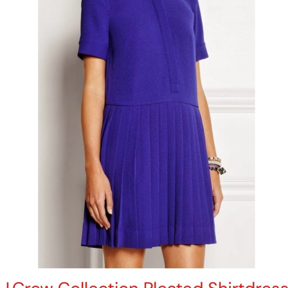 J. Crew Pleated Short-Sleeve Mini Dress in Violet BIG